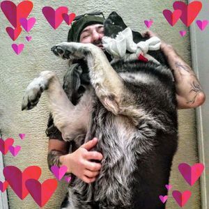 Meet your Posher, Chris